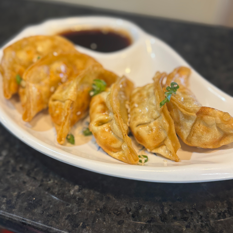 Delicious Chicken Gyoza