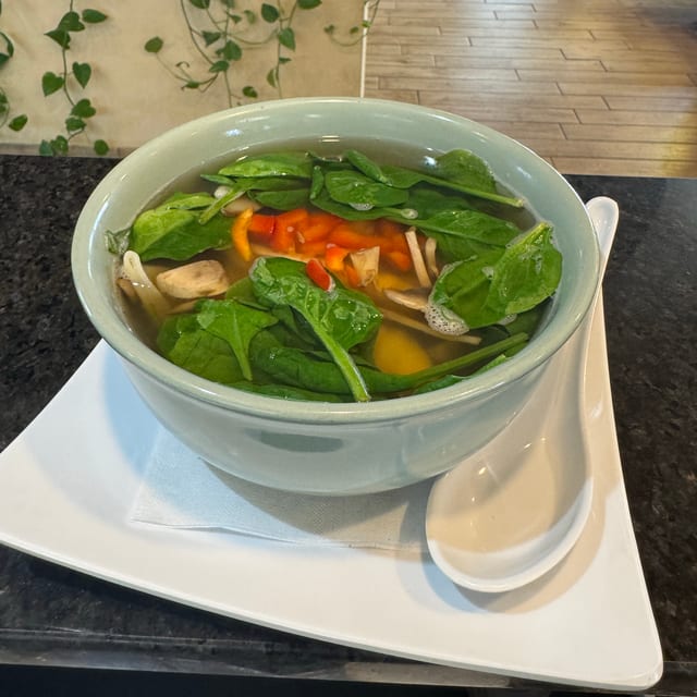 Korean Chicken Dumpling Soup.